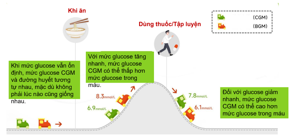 Biểu đồ so sánh đường cong SG và BG khi ăn uống và tập luyện (Tiếng Việt)